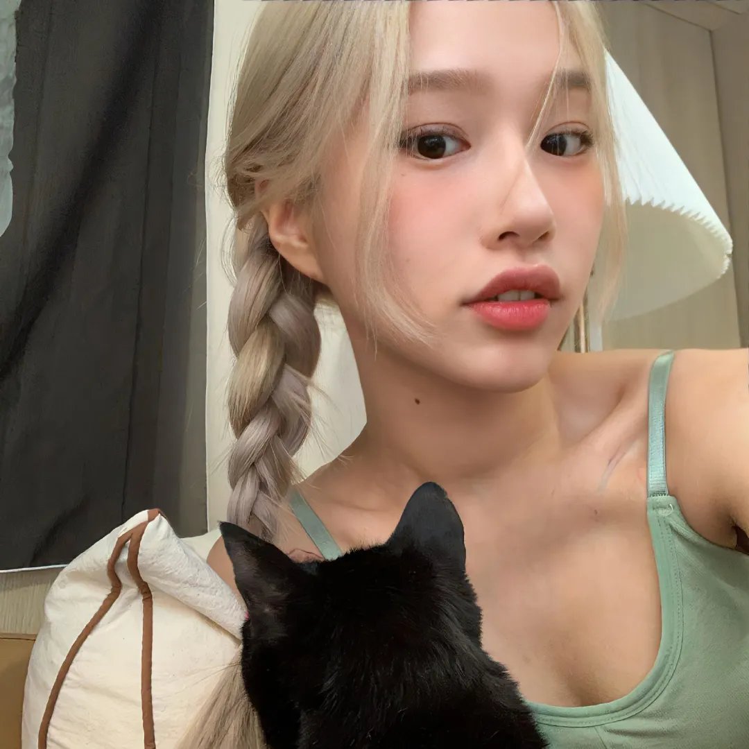 郊狼