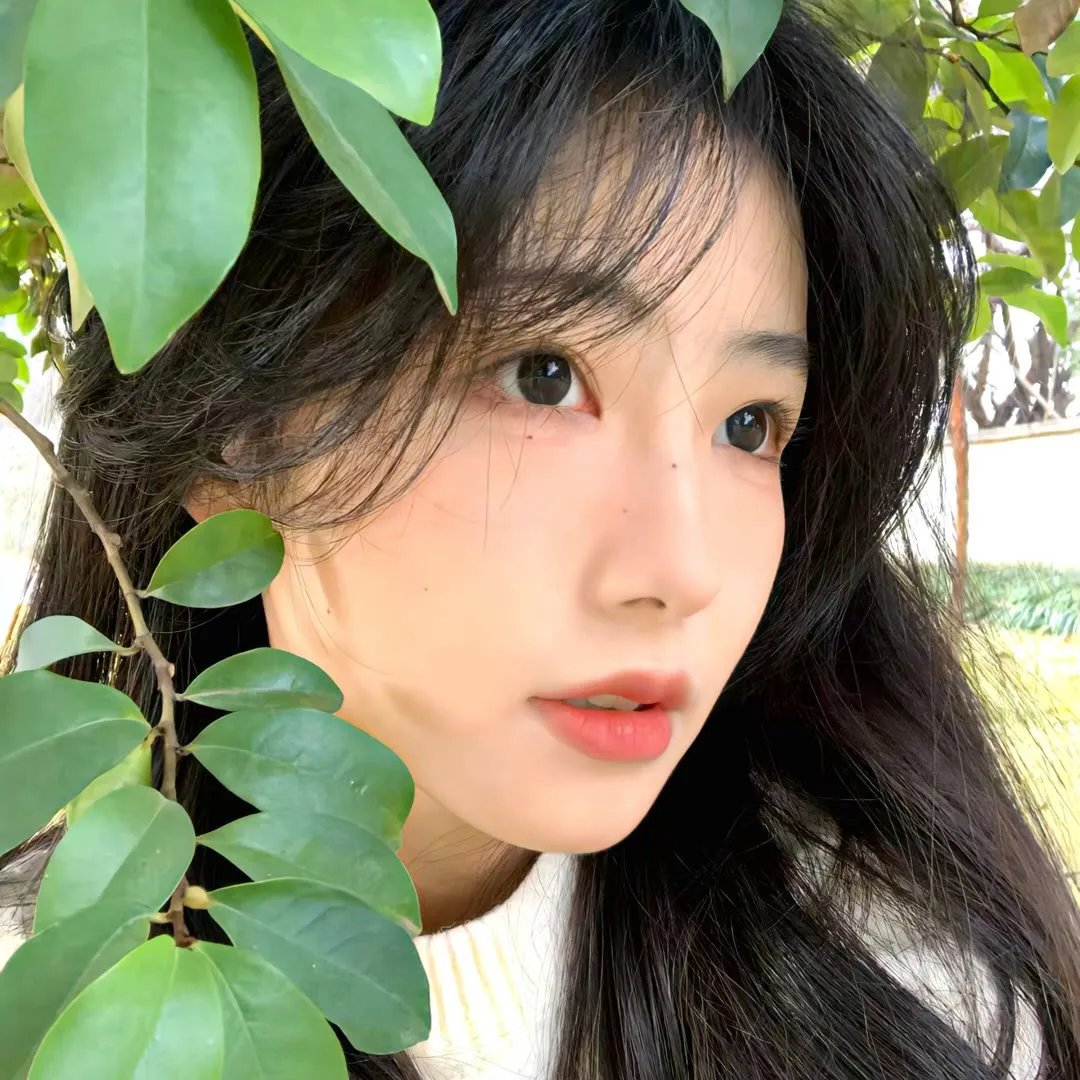 泰版信号